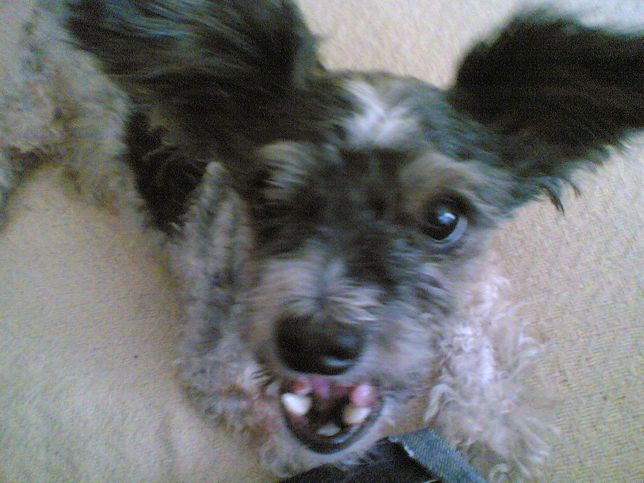 06232009.jpg