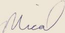 Signature - First Name Color Background.jpg