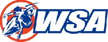 WSAWebLogo220w.gif
