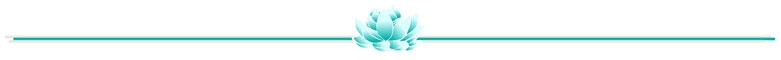 Lotus strip turq.JPG