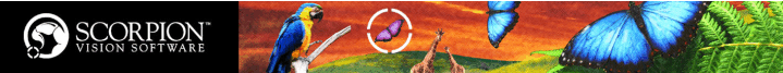 Smal_stripe_med_logo.gif