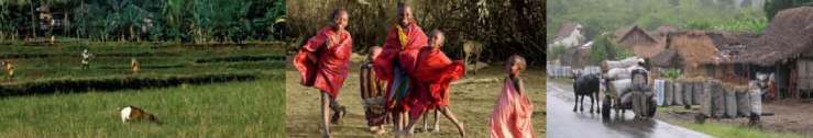 http://www.profor.info/profor/activities/livelihoods
