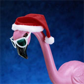 flamingo.jpg