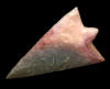 hillsborough agatized fl coral.jpg
