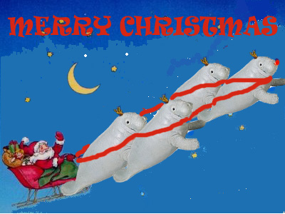 santa-sleigh-MANATEE_edited-1.jpg