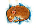 JAC_ART_122px.jpg