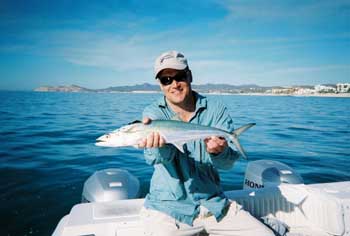 bill-mackeral.jpg