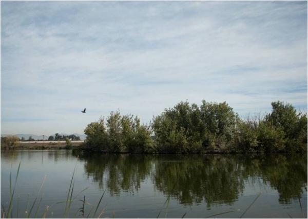 sepulveda basin.jpg