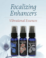 200811130 essences_brochure_cover.jpg