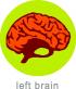 left brain