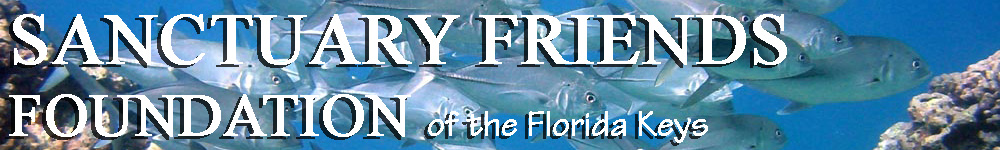 Sanctuary Friends Foundation