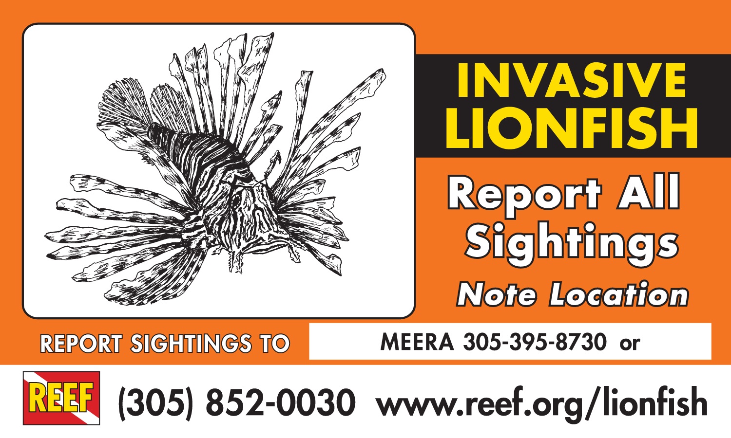 Invasive Lionfish Hotline