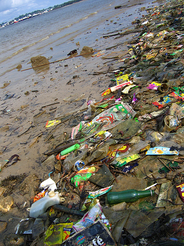 marine litter on beach