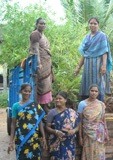 Transplanting in India