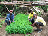 Nursery in Bercy, Haiti