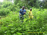 Nusery in Cameroon