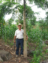 Don Julio with year and a half Acrocarpus (1).JPG