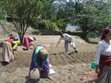 nursery kyark 2.jpg