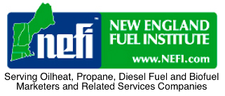 nefi web cropped1.jpg