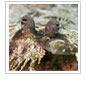 Photo Contest Winner