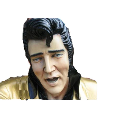 elvis_test.JPG