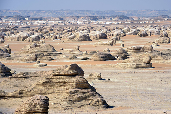 SR Desert photo 4.jpg