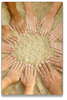 newsletter_Image_circle_of_hands.jpg
