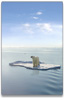 newsletter_content_image-polarbear.jpg