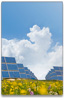 newsletter_content_image-solarpanels.jpg