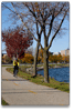 newsletter_content_image-cyclistonpath.gif