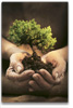 newsletter_content_image-babytree.jpg