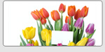 content-RC_flower-basket.jpg
