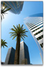 newsletter_content_palmtree.jpg