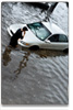 newsletter_content_image-floodcar.jpg
