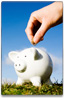 content_piggybank.jpg