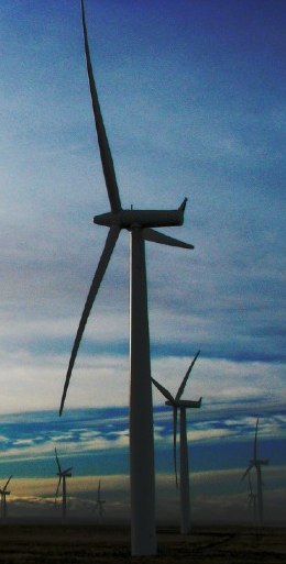 windmill.jpg