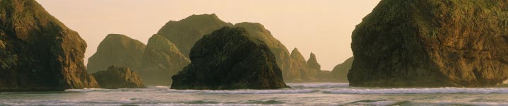 oregoncropped.jpg