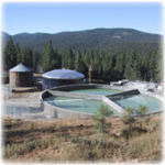 Sand Filter