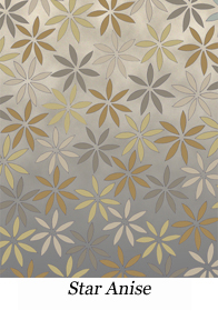 Star Anise newsletter.jpg