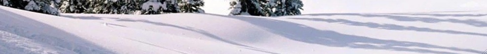 snow floor.jpg