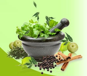 vata bowl roots.jpg