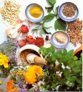 ayurveda medicine.jpg
