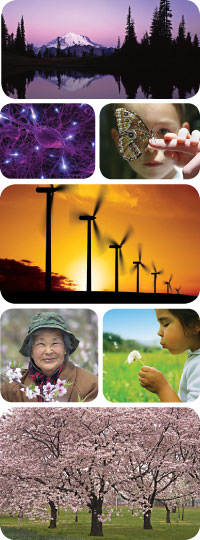 SustainablePath.jpg