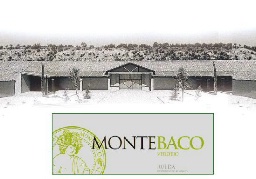 montebaco.jpg