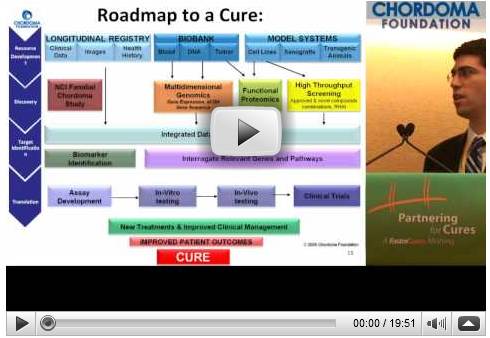 Partnering for Cures 2009.jpg