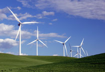 Good for People, the Planet and Business