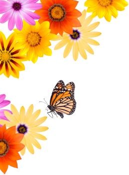 Flowers - Spring (iStock_000009147401XSmallc).jpg