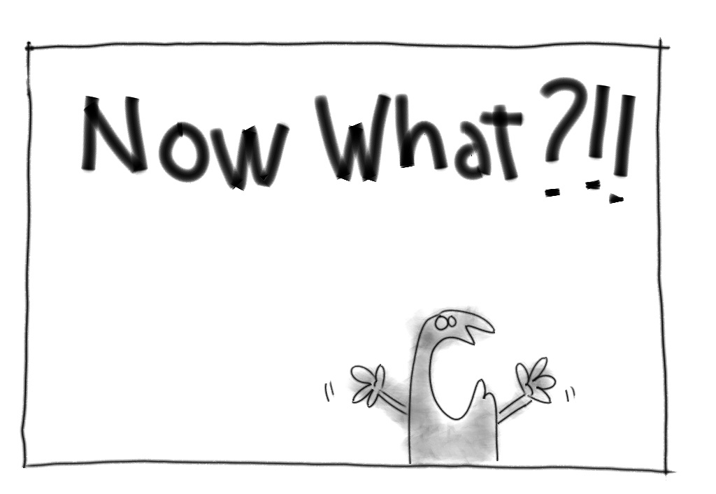 now-what1.jpg