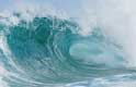 Catch the wave