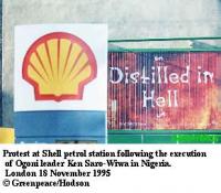 shell04.jpg